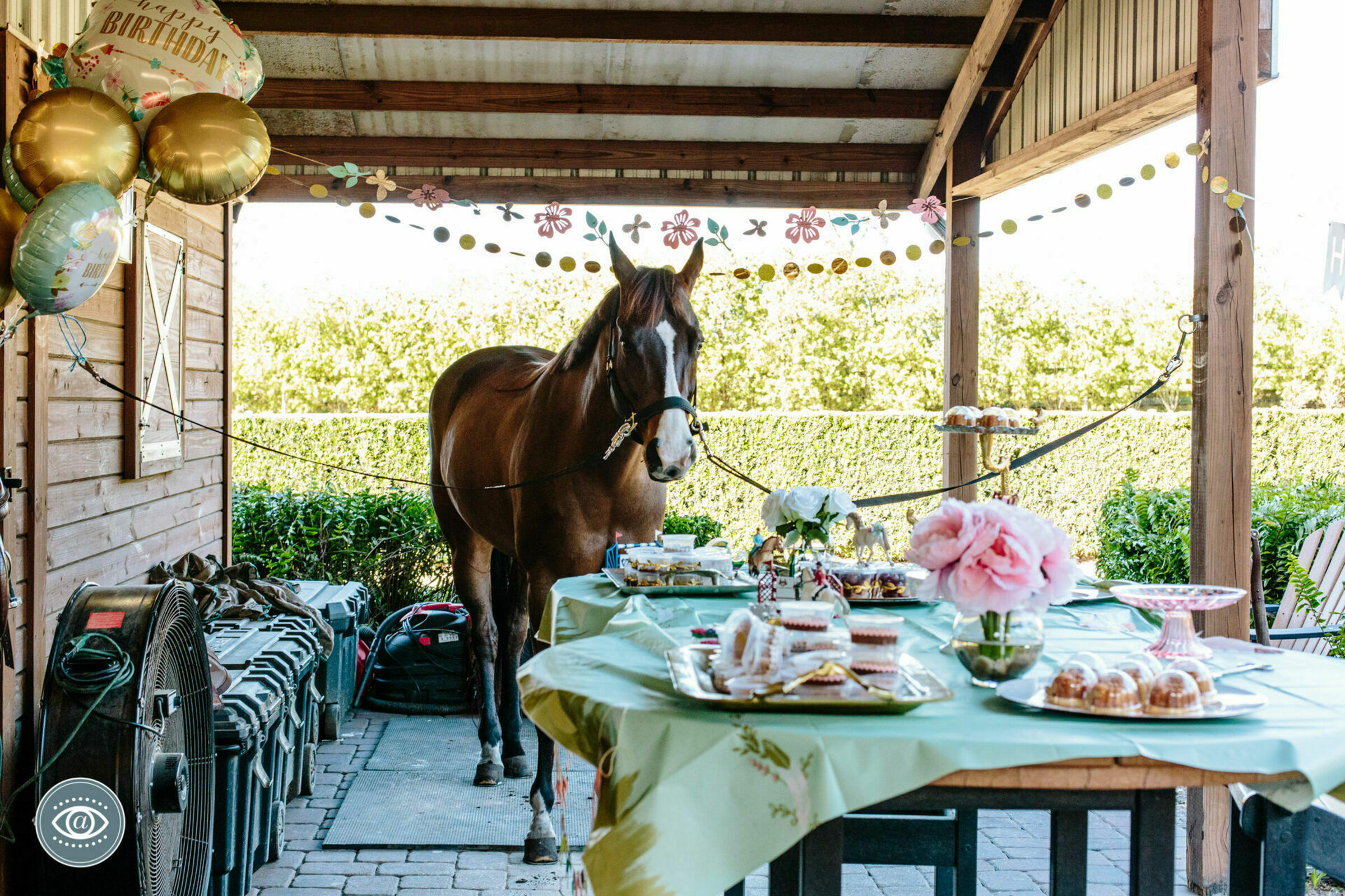 Foto de Cris Motta 8